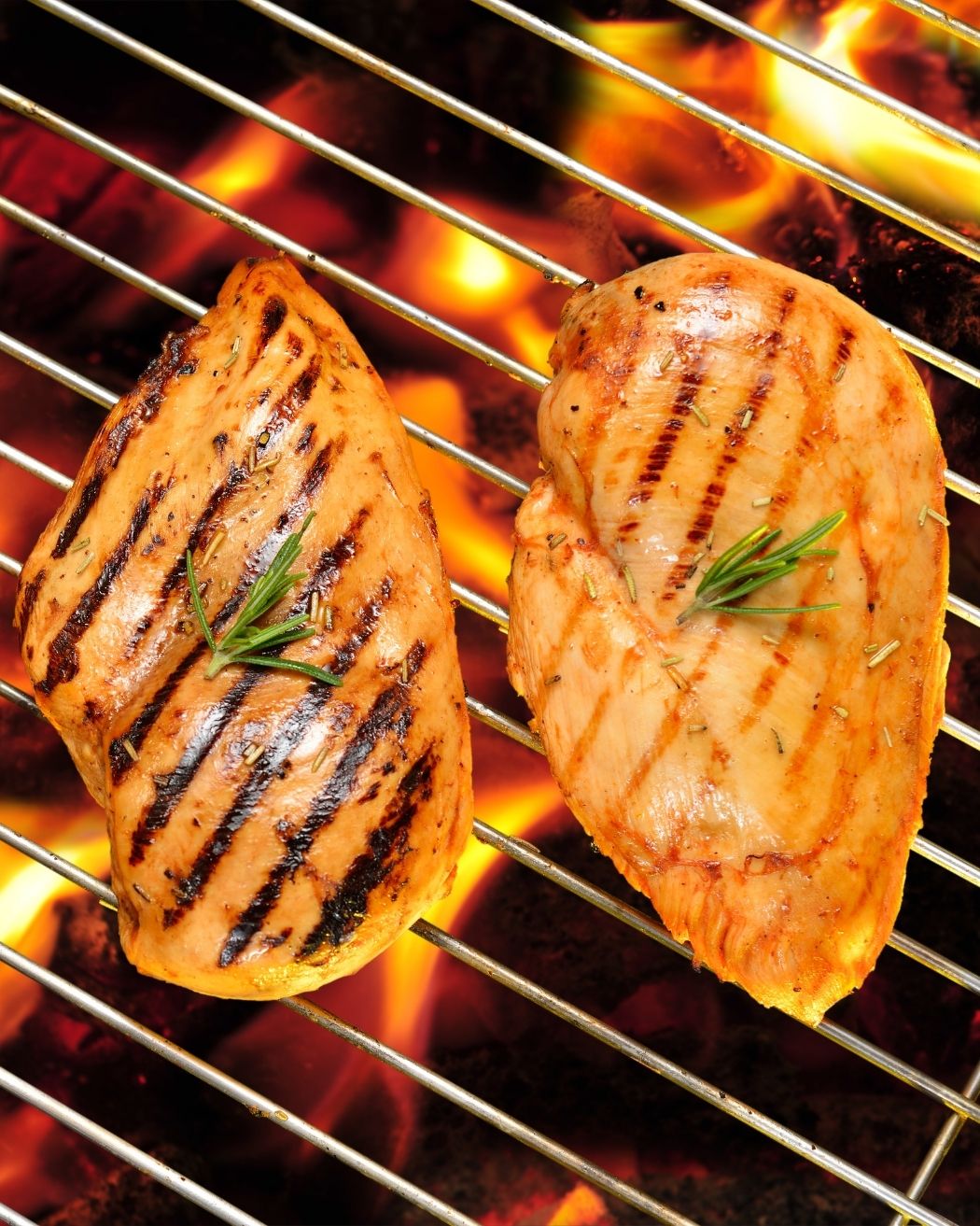 Samuray Chicken (3)